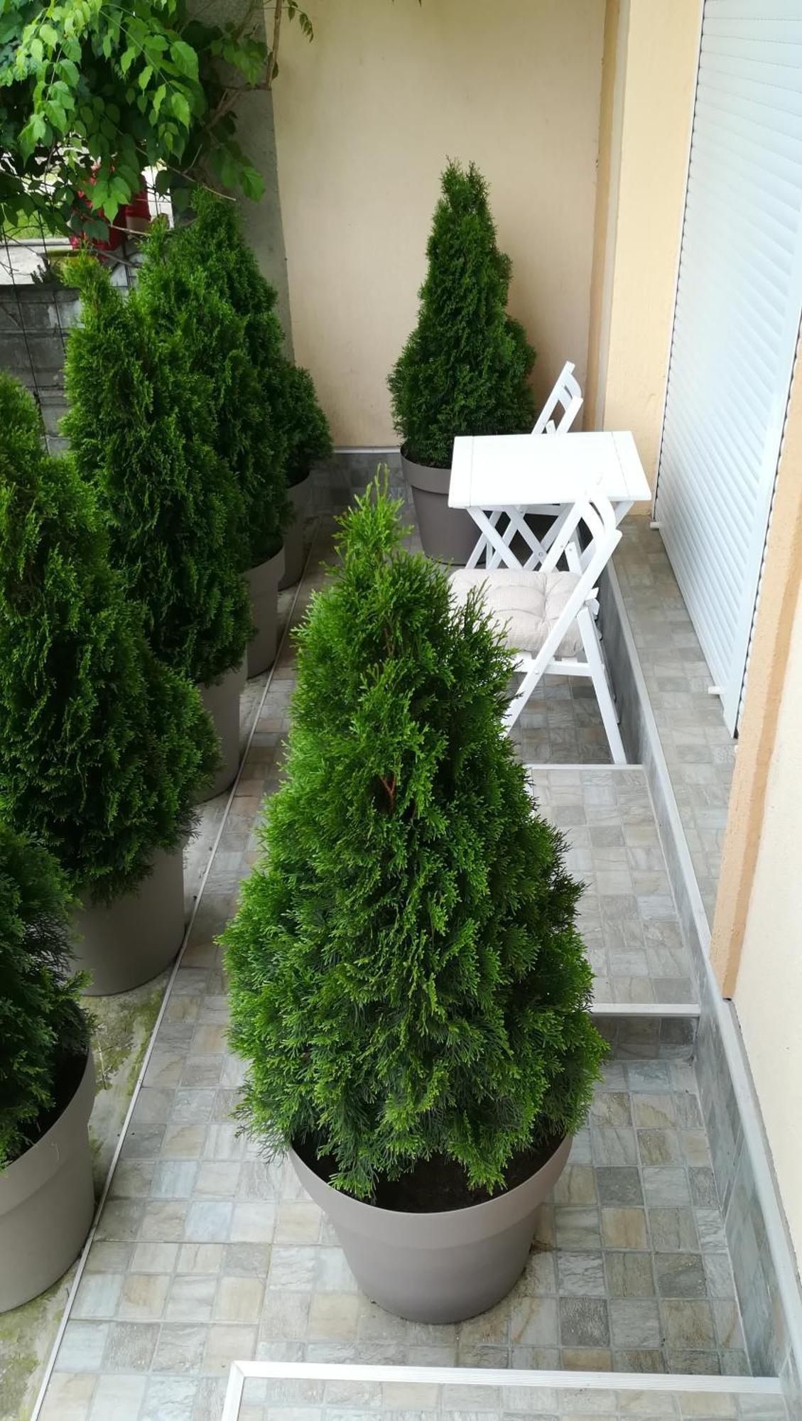 M4U Apartments Ni Extérieur photo